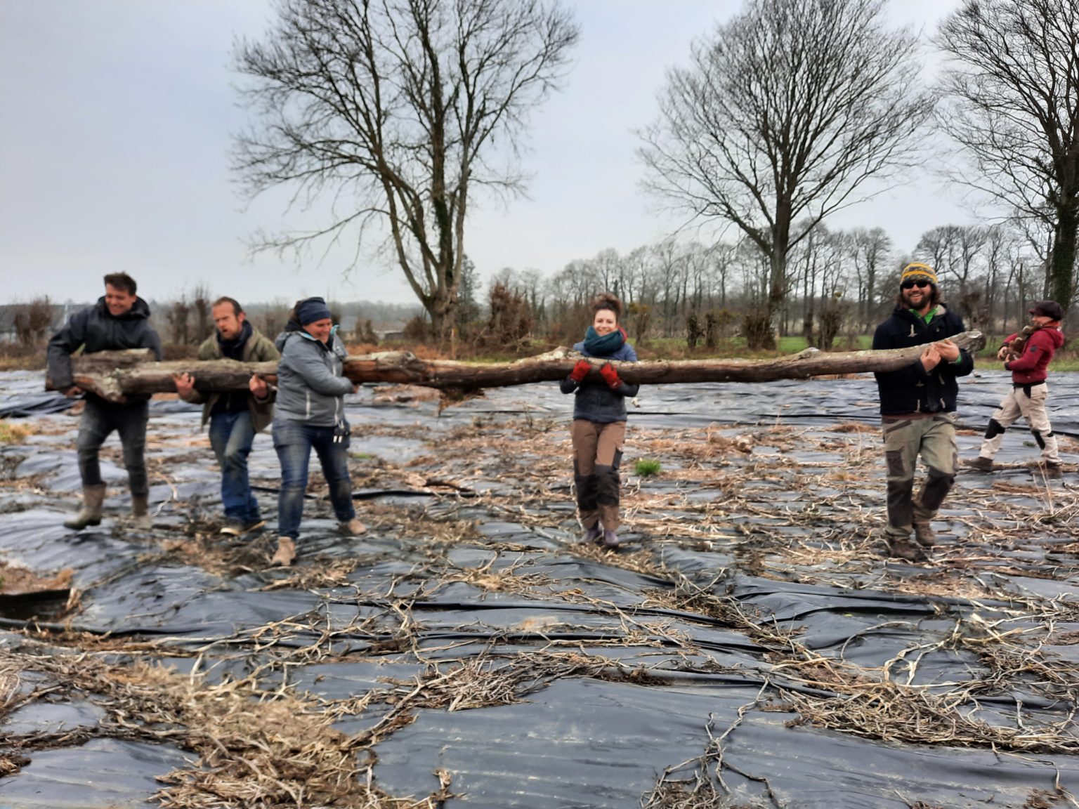 Rhizome 61500 essay 07 image