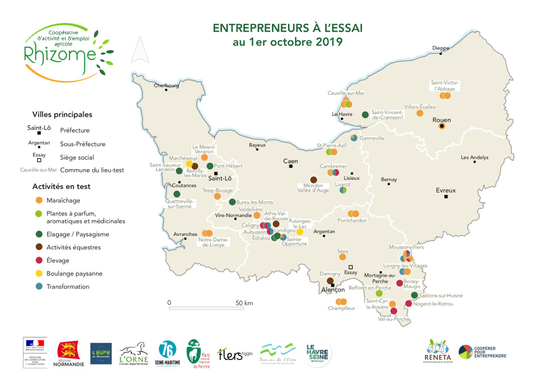 Rhizome 61500 essay 02 picture