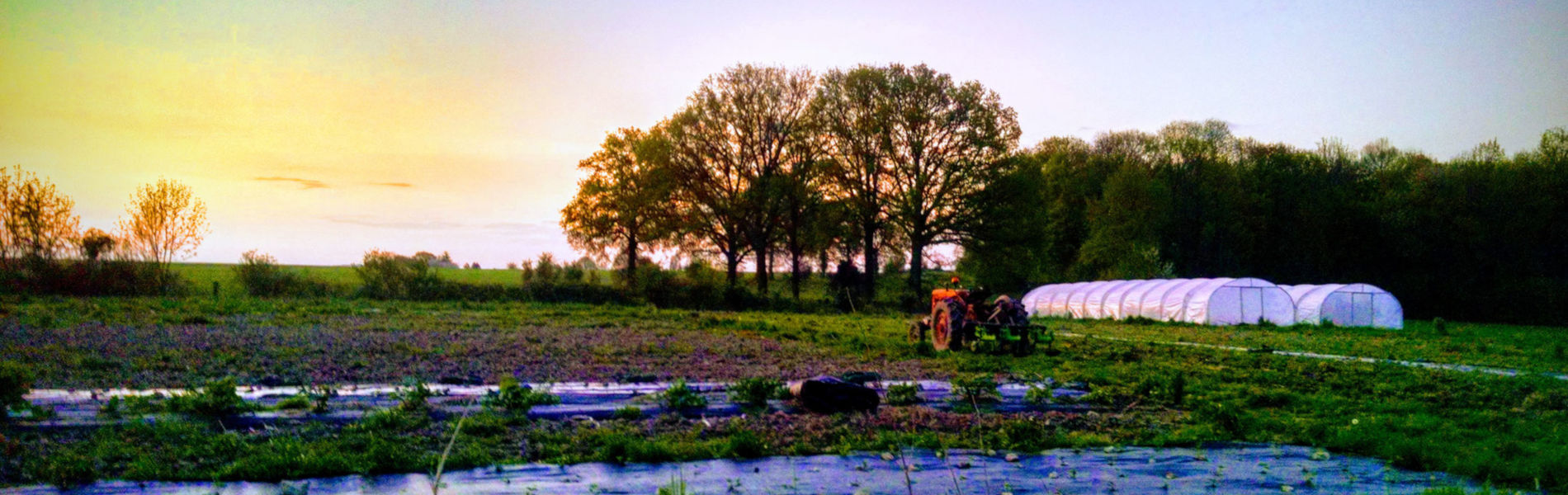 Test d’activité agricole et rural