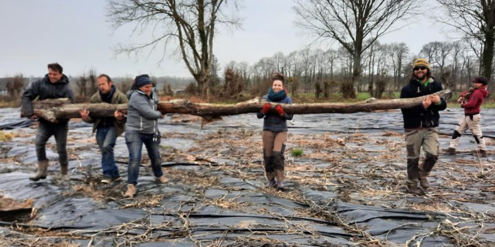 Chantier collectif à la Ferme de l’Alliance